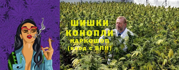 тгк Верея