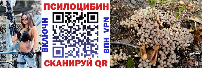 Купить где  Нерехта  Псилоцибиновые грибы ЛСД 
